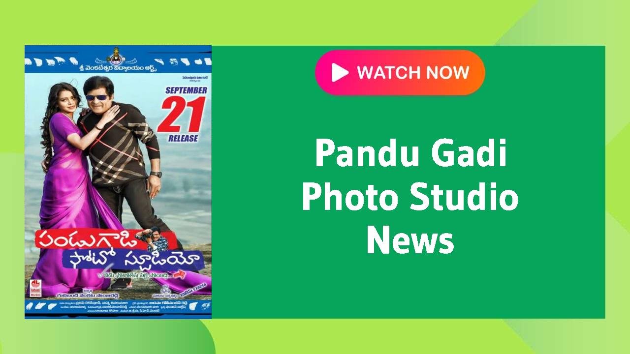 Pandu Gadi Photo Studio